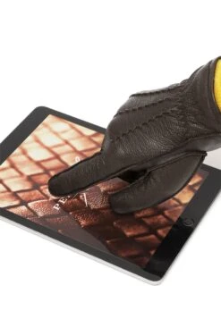 Miles - Guanti - Hazel -Pier One Italia 2025 3a5d3b7055d94bb7ac705c4dccf1b005