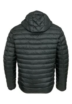 Ciesse Piumini Frankne - Piumino - Nero -Pier One Italia 2025 47a6474f1cae4f04a2099c5d7a39f1dc