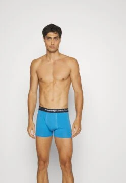 Underwear 6 PackCulotteTinsel Uomo Intimo KN282O00H-T11 -Pier One Italia 2025 60fe3800768b433c8634368748f313d1