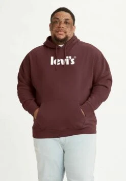 Levi's® Plus Relaxed Graphic PosterFelpa Con CappuccioNeutrals Uomo Maglieria E Felpe LE222S05R-O11