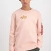 Alpha Industries Label FelpaPale Peach Uomo Maglieria E Felpe AL522S06T-H11 -Pier One Italia 2025 c4f6cd10e71e4db08c7953964ff52f30